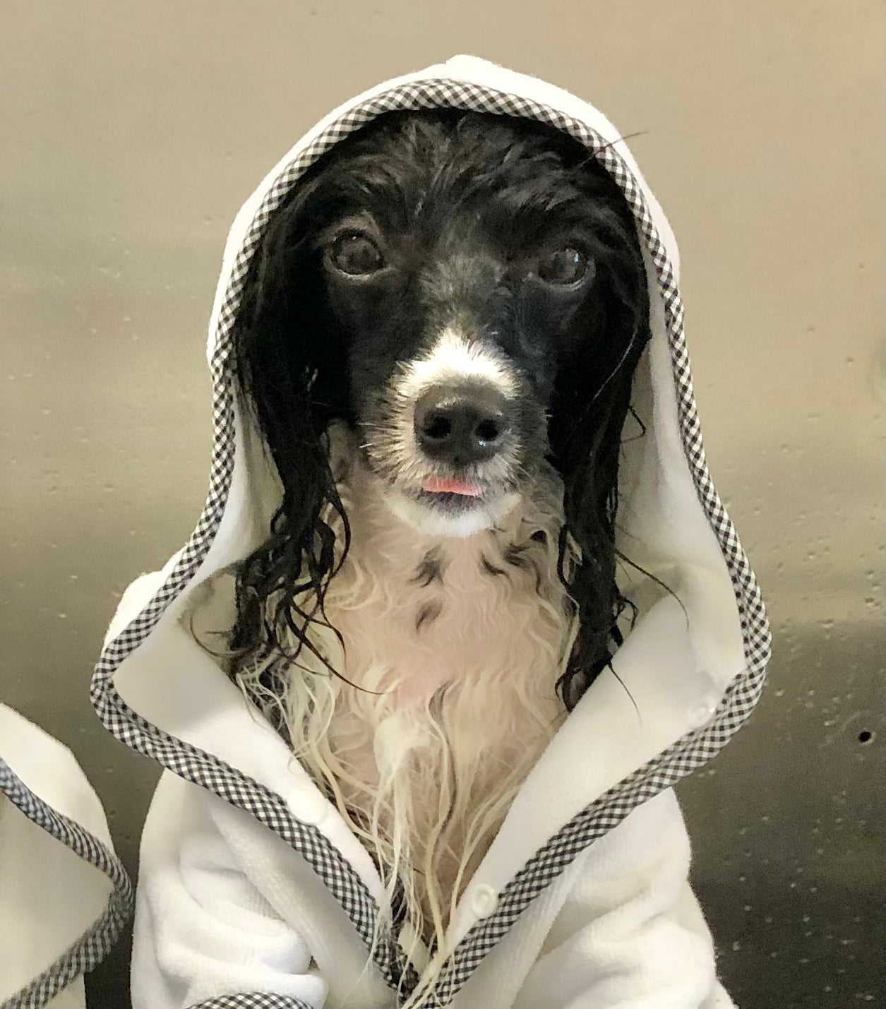 Rufflix and Chill Microfiber Bath Robe