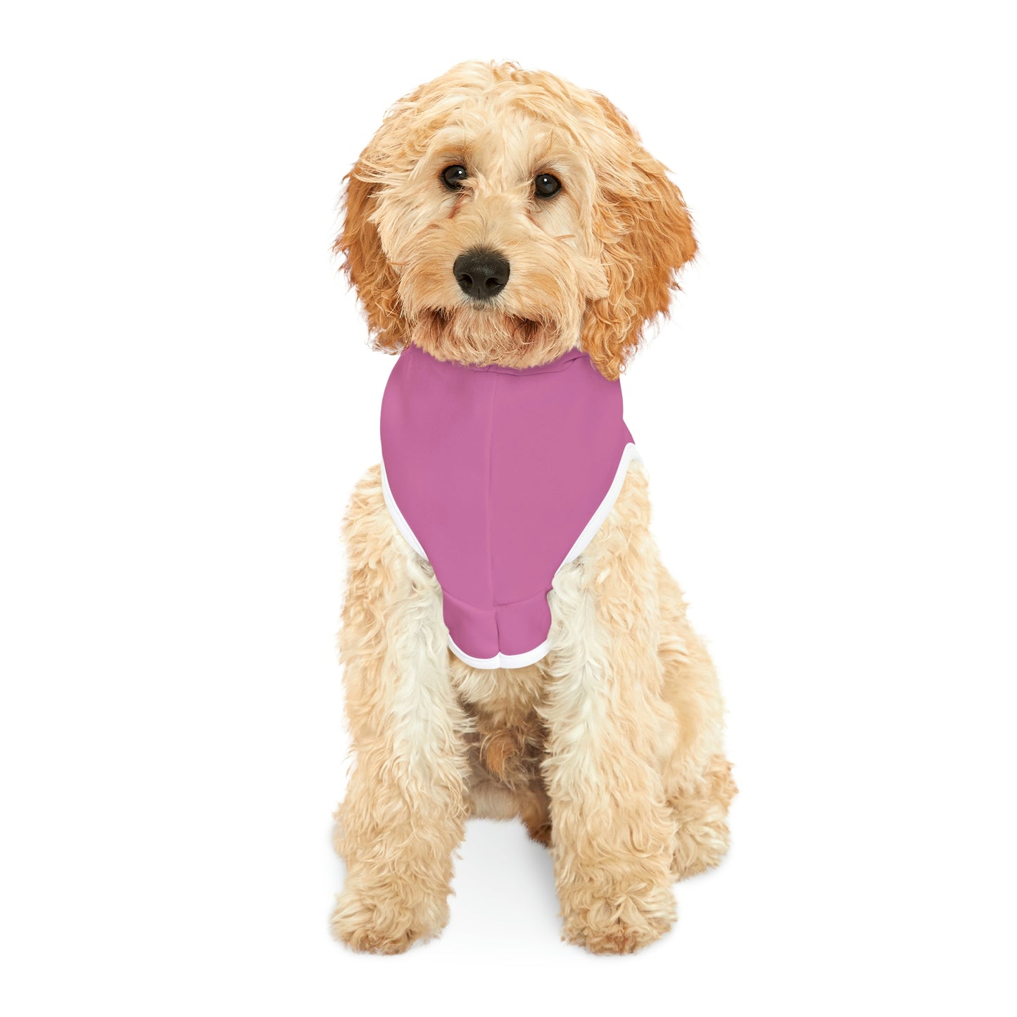 Good Girl Dog Hoodie