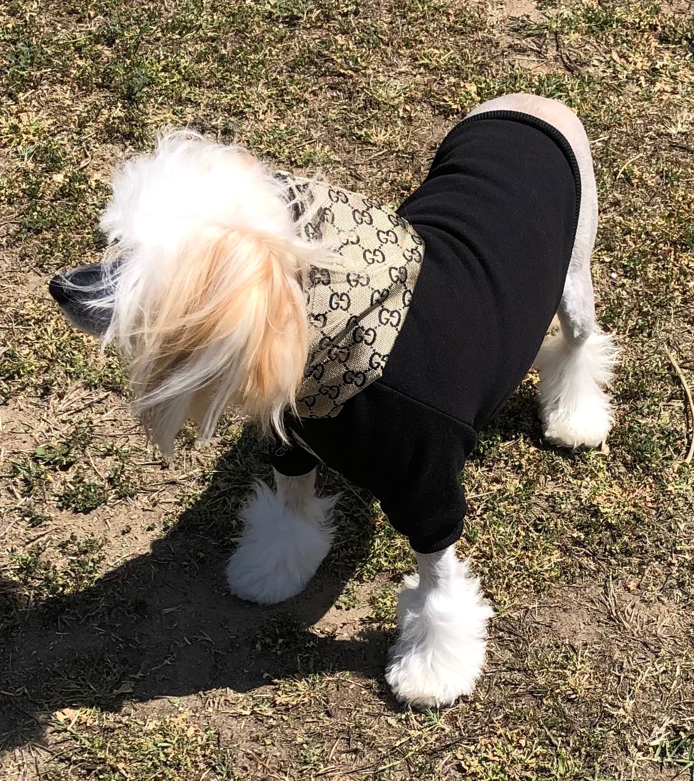 Boss of the Block Luxury Hoodie