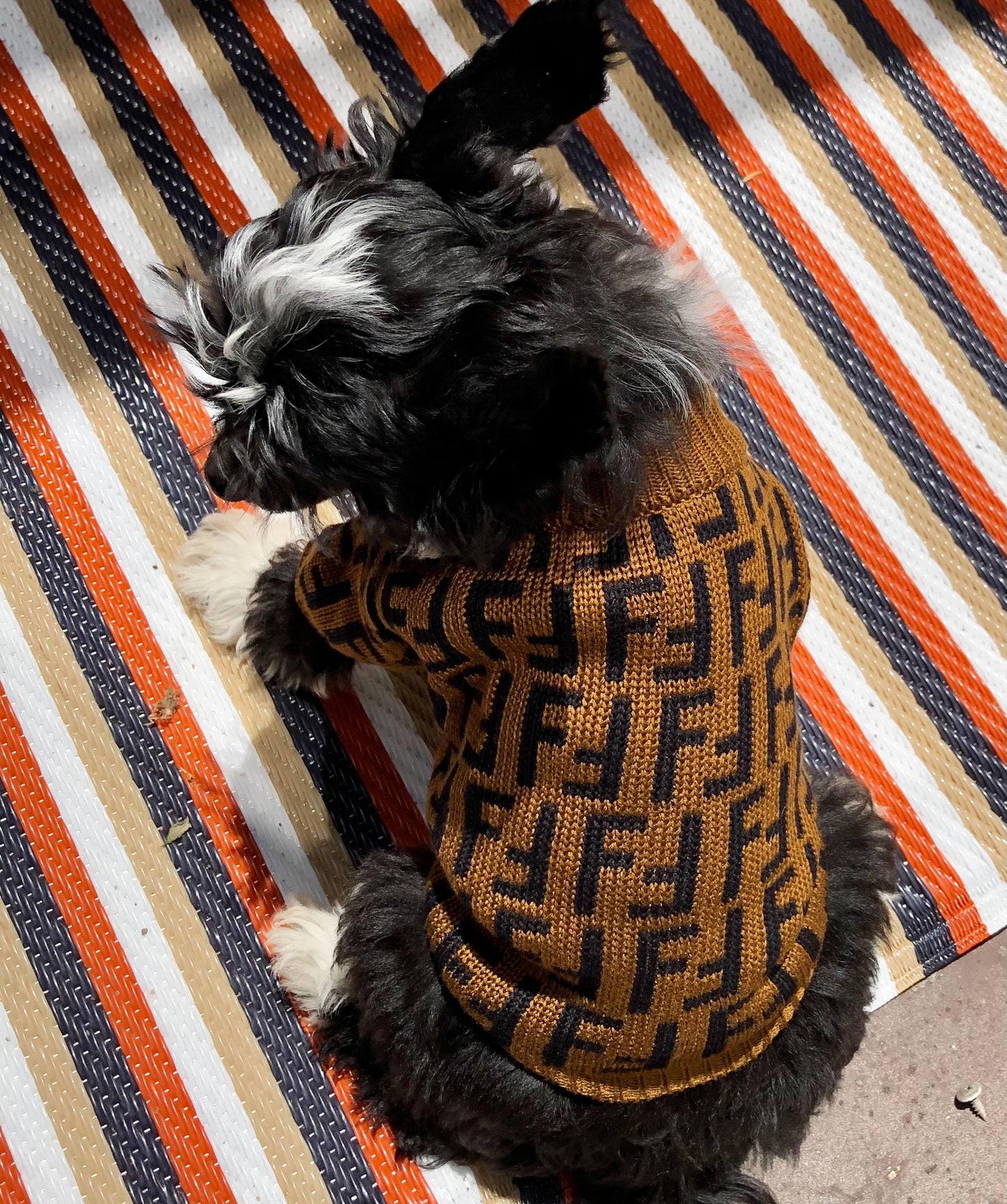 Fame and Fortune Luxe Sweater