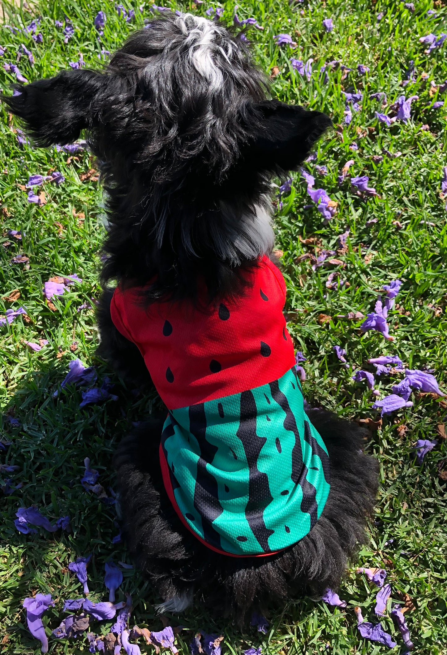 Watermelon Sugar Baby