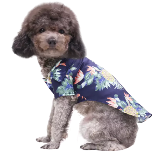 Lime in the Coconut Tropical Shirts