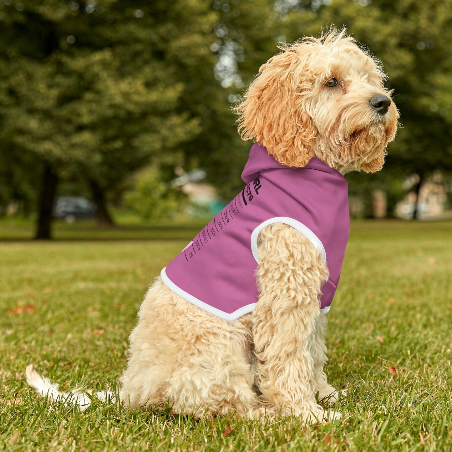 Good Girl Dog Hoodie