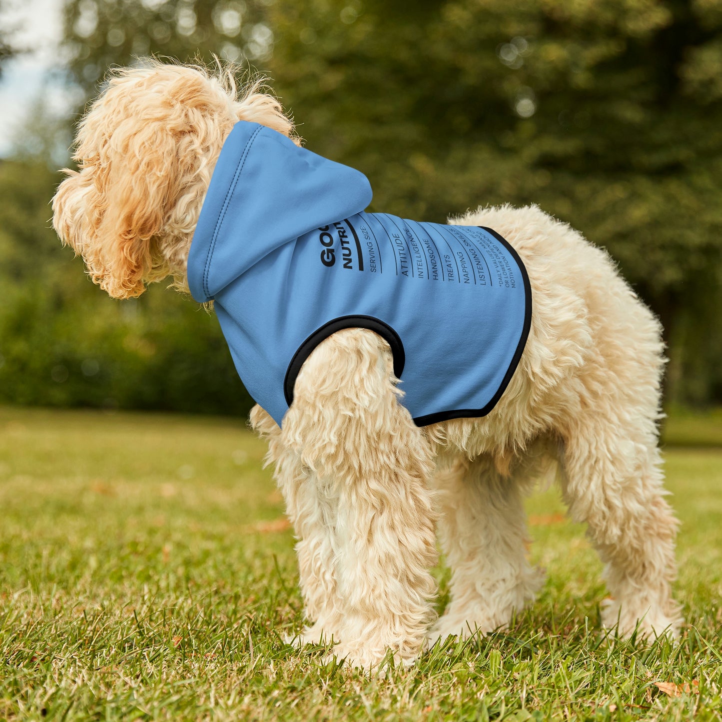 Good Boy Dog Hoodie