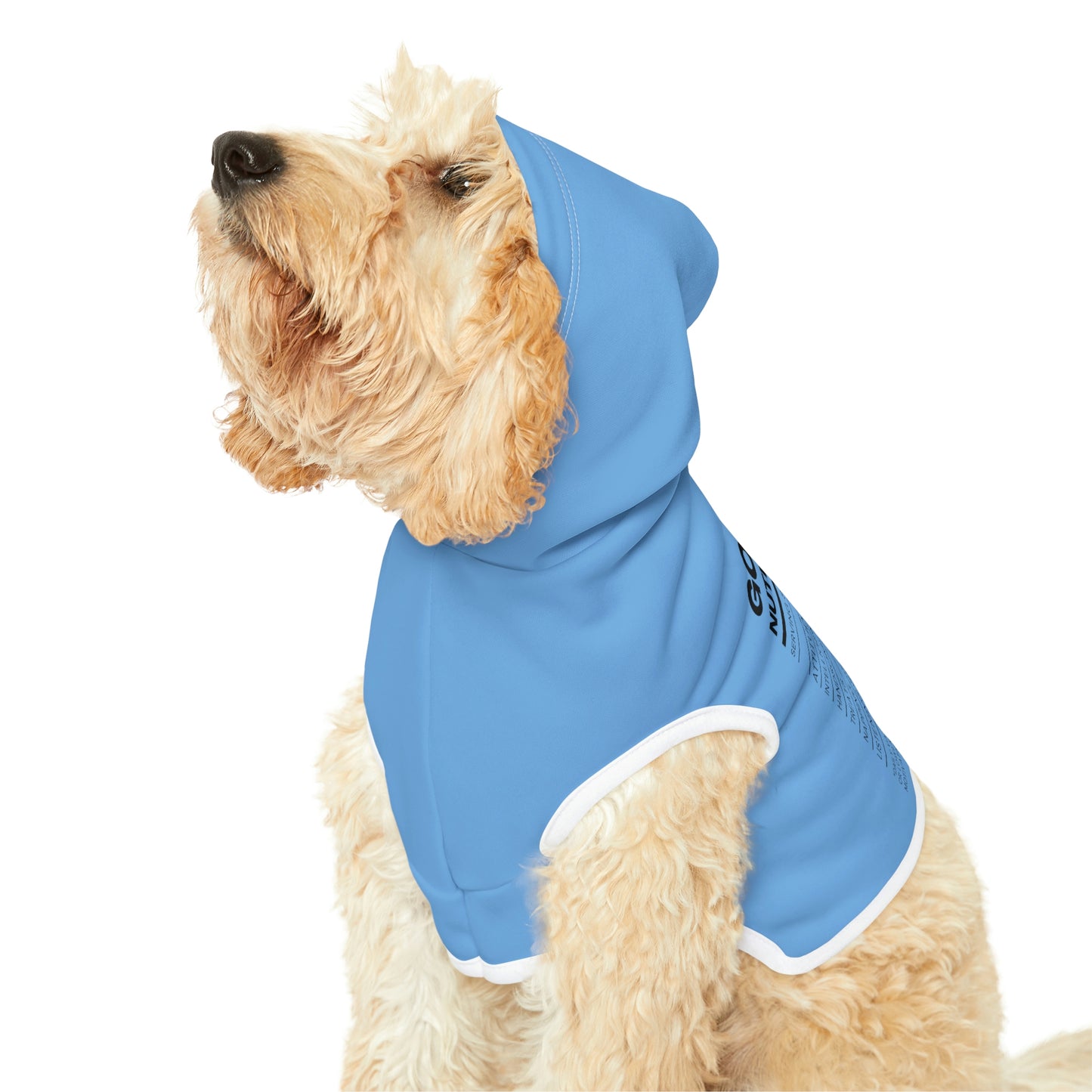 Good Boy Dog Hoodie