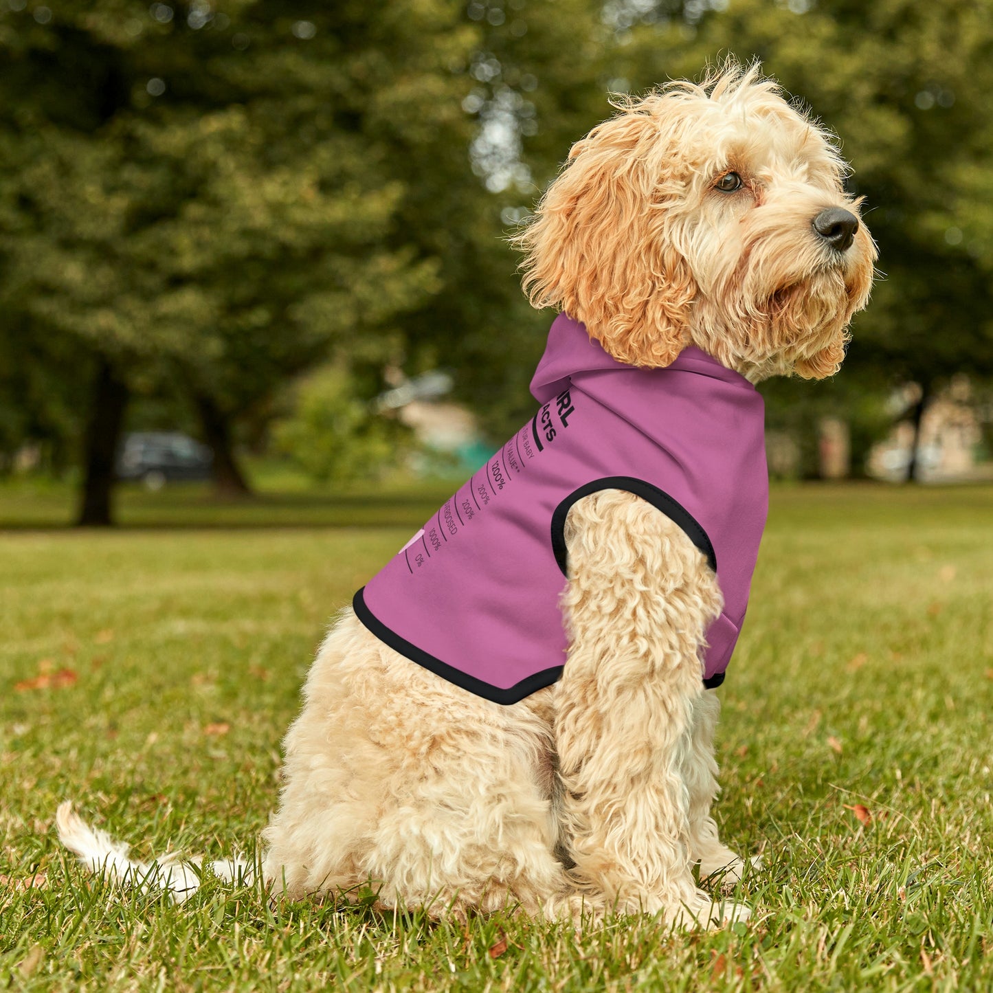 Good Girl Dog Hoodie