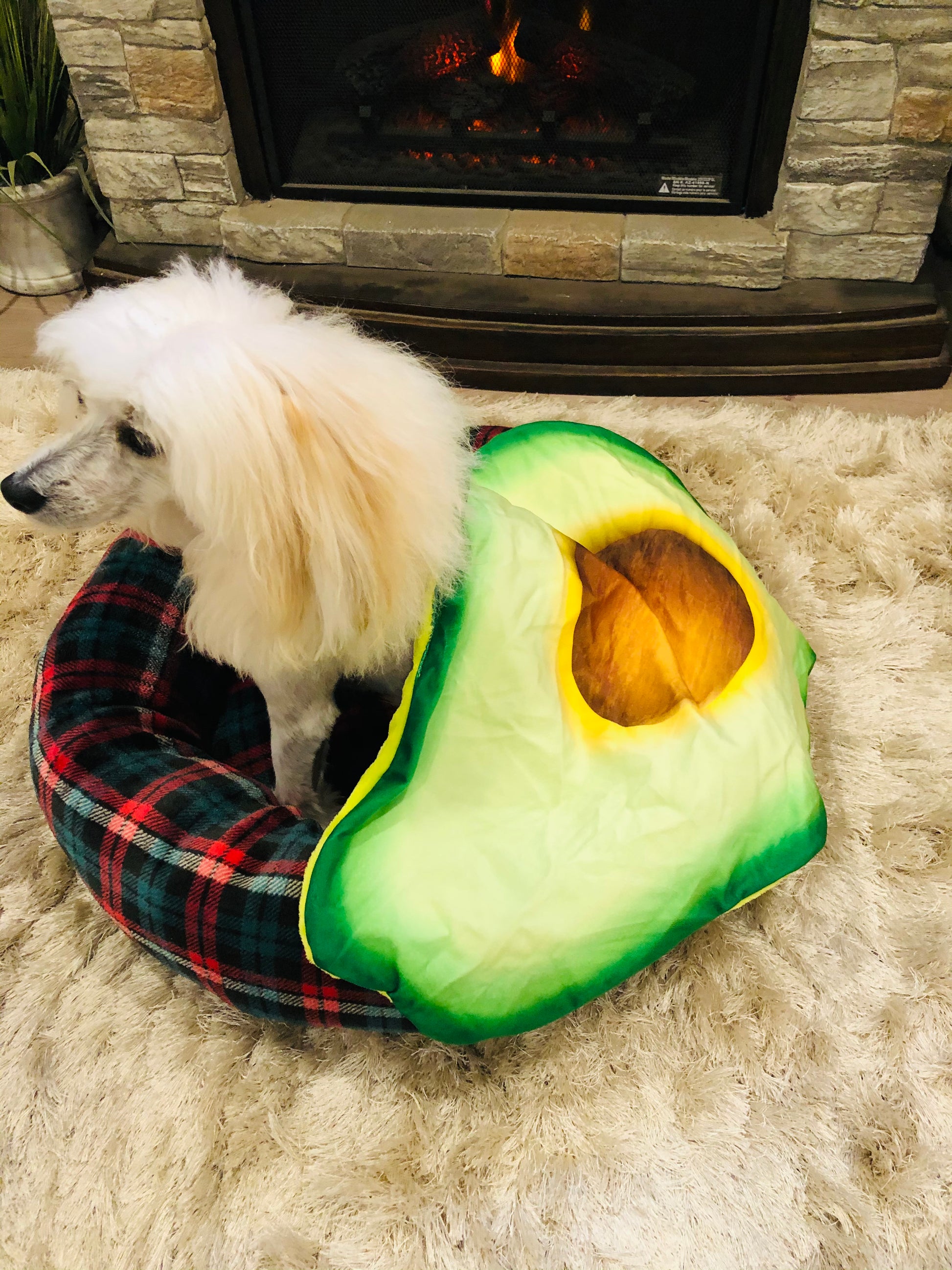 Medium Avocado Pet Blanket