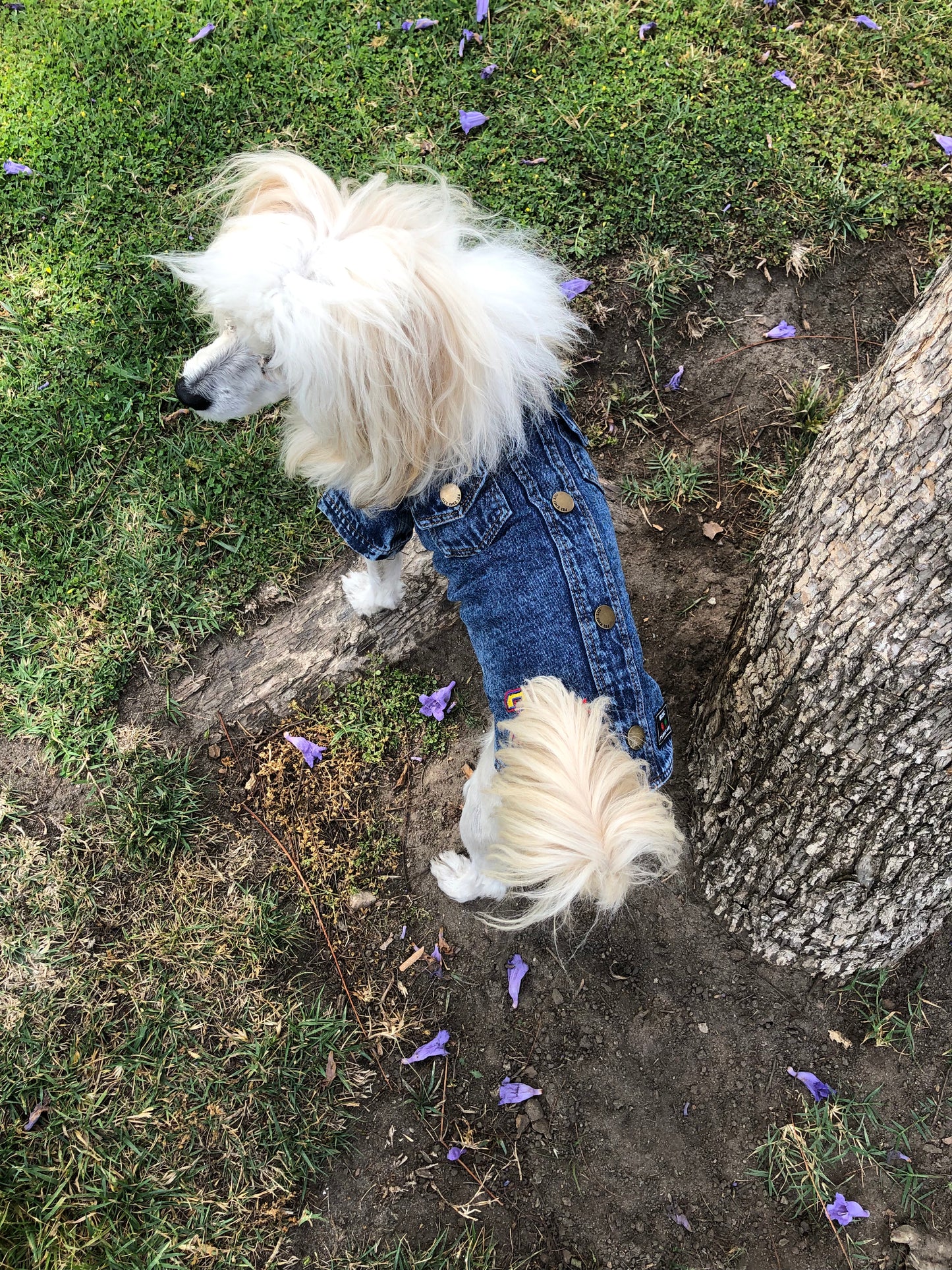 Woof There It Is Denim Jacket