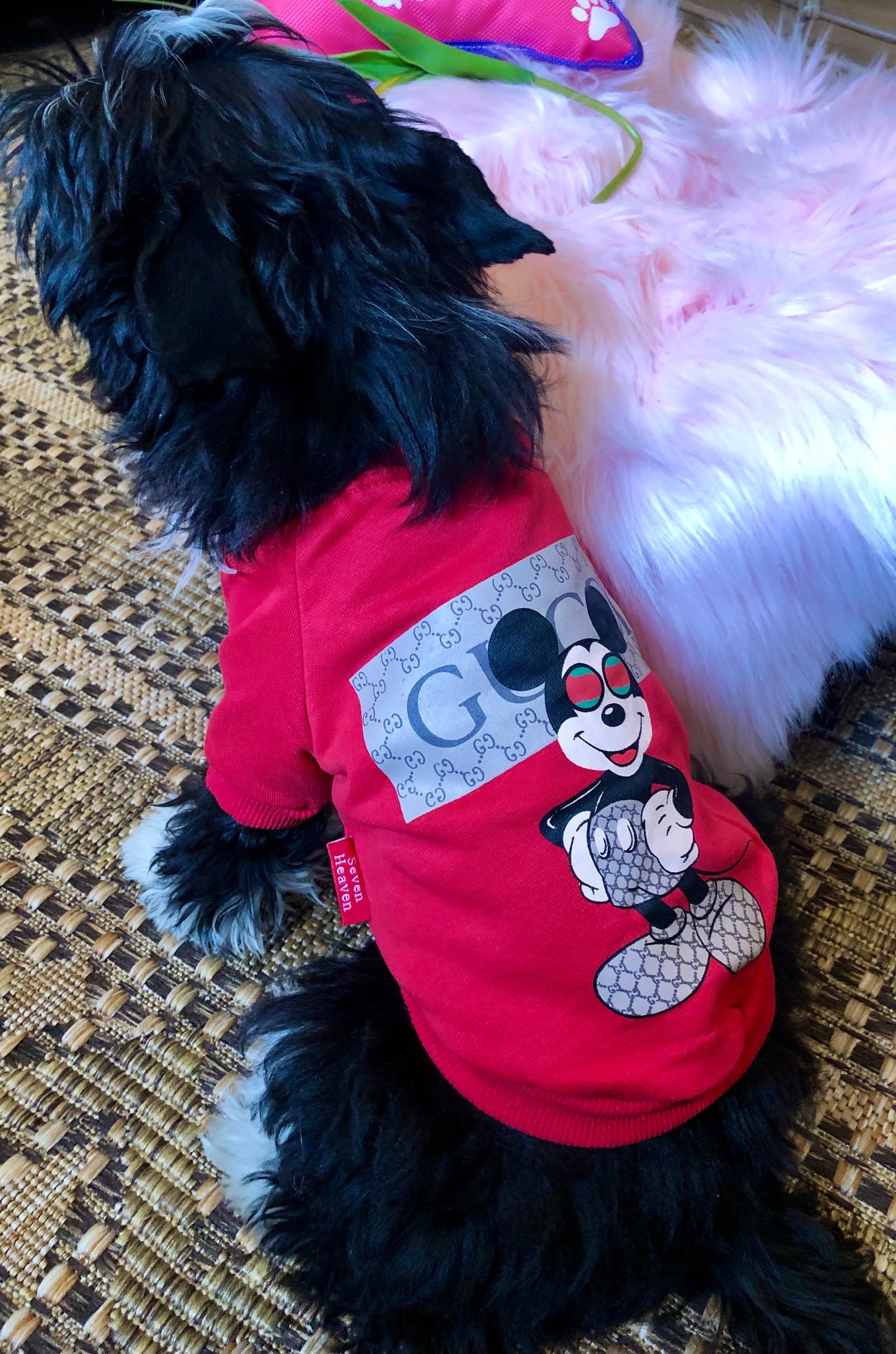 Trap Mouse Cozy Dog Shirt