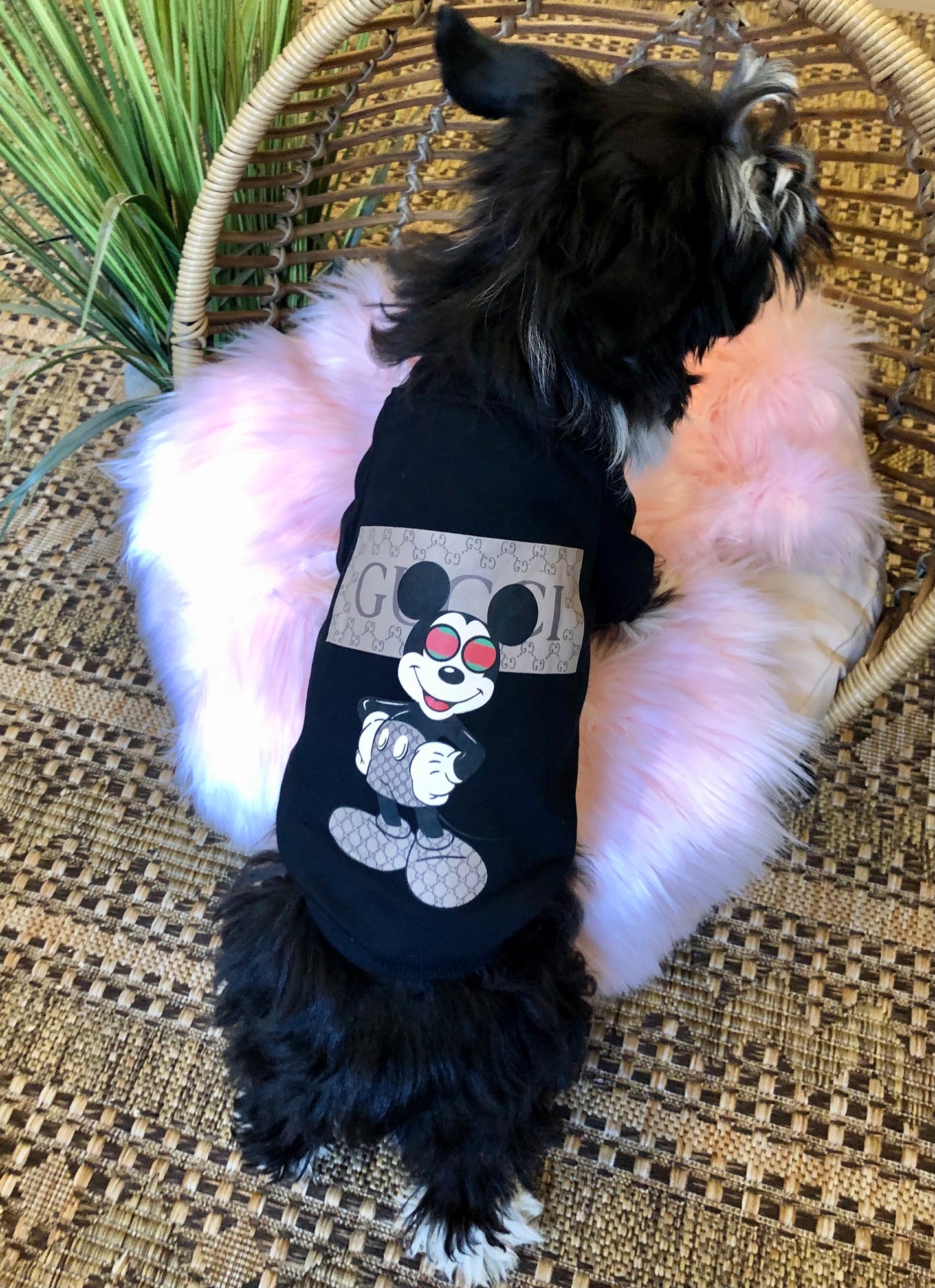 Trap Mouse Cozy Dog Shirt