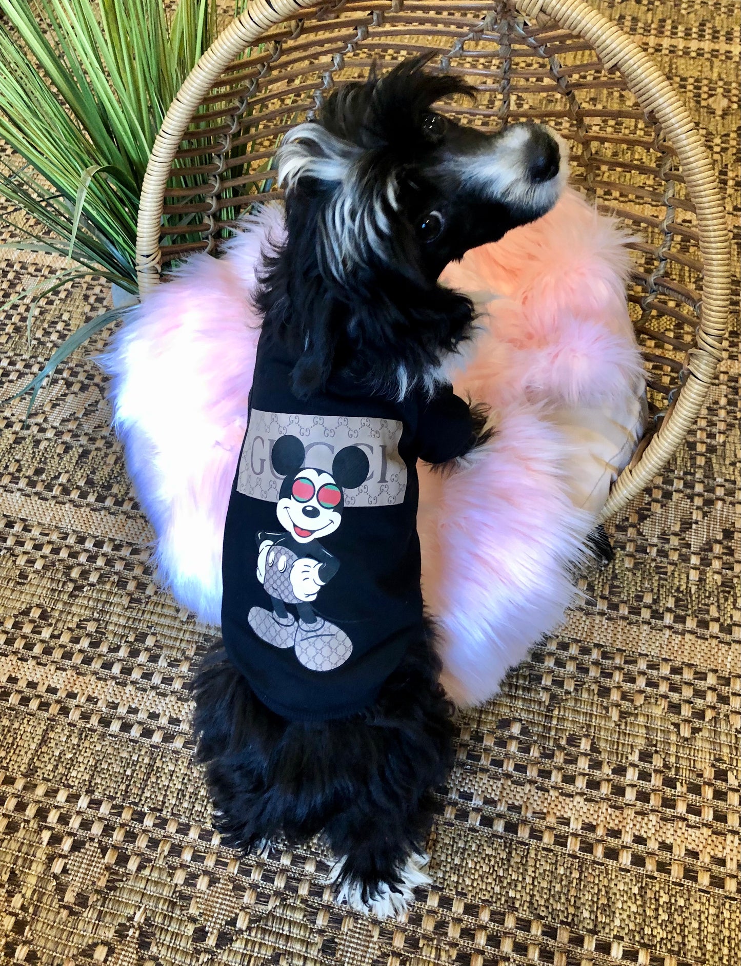 Trap Mouse Cozy Dog Shirt