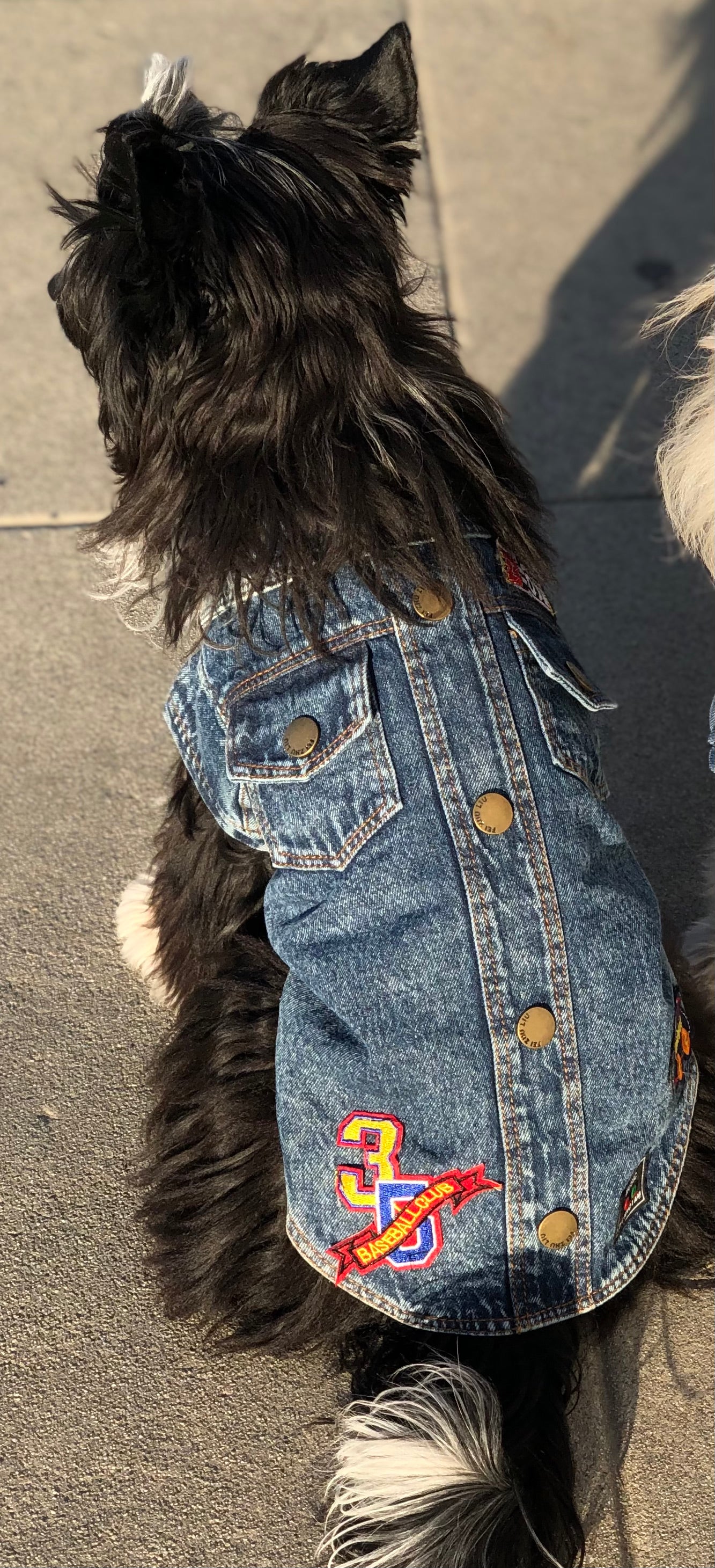 Woof There It Is Denim Jacket