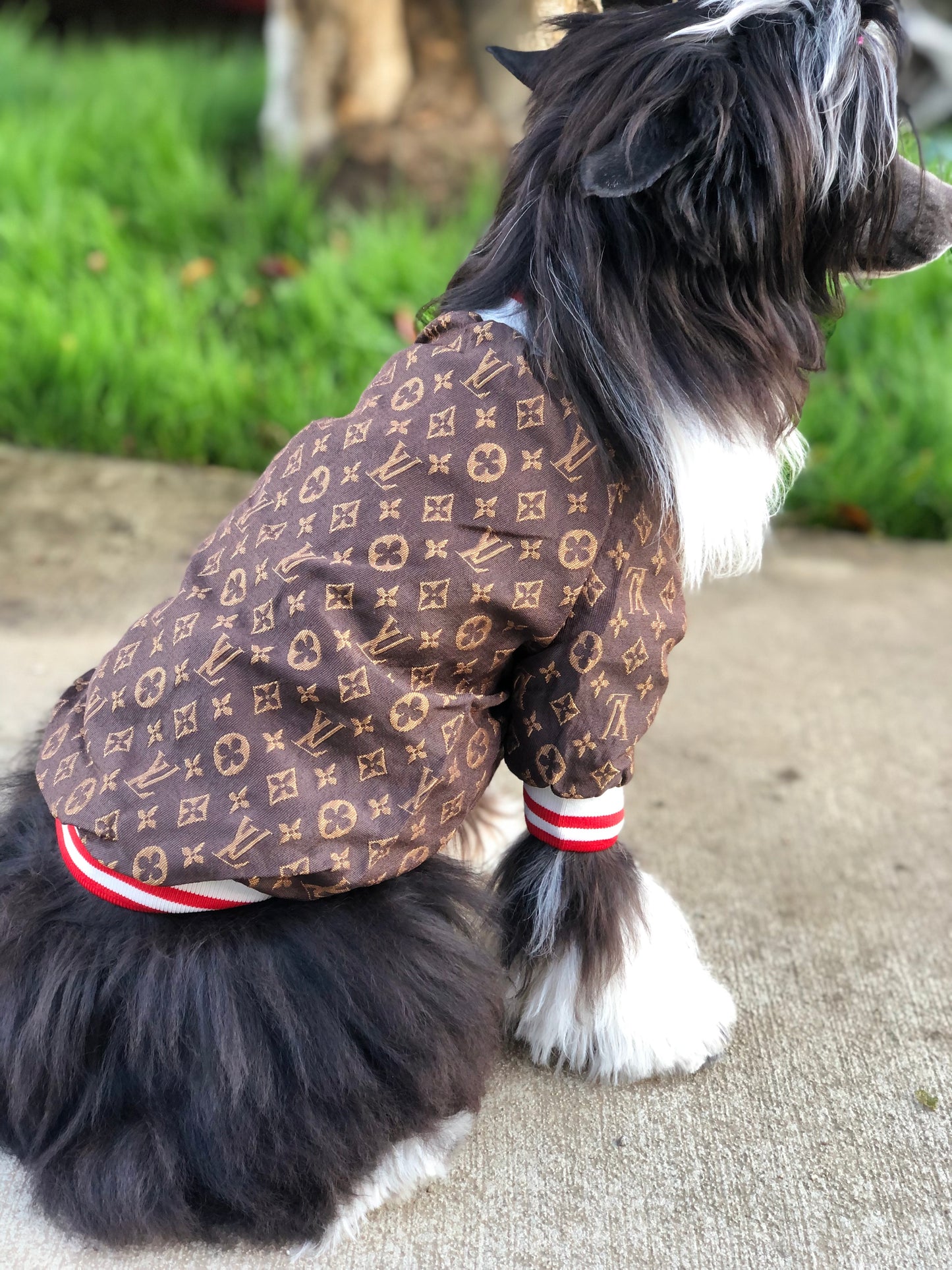 Elle Vee Sporty Zip Up