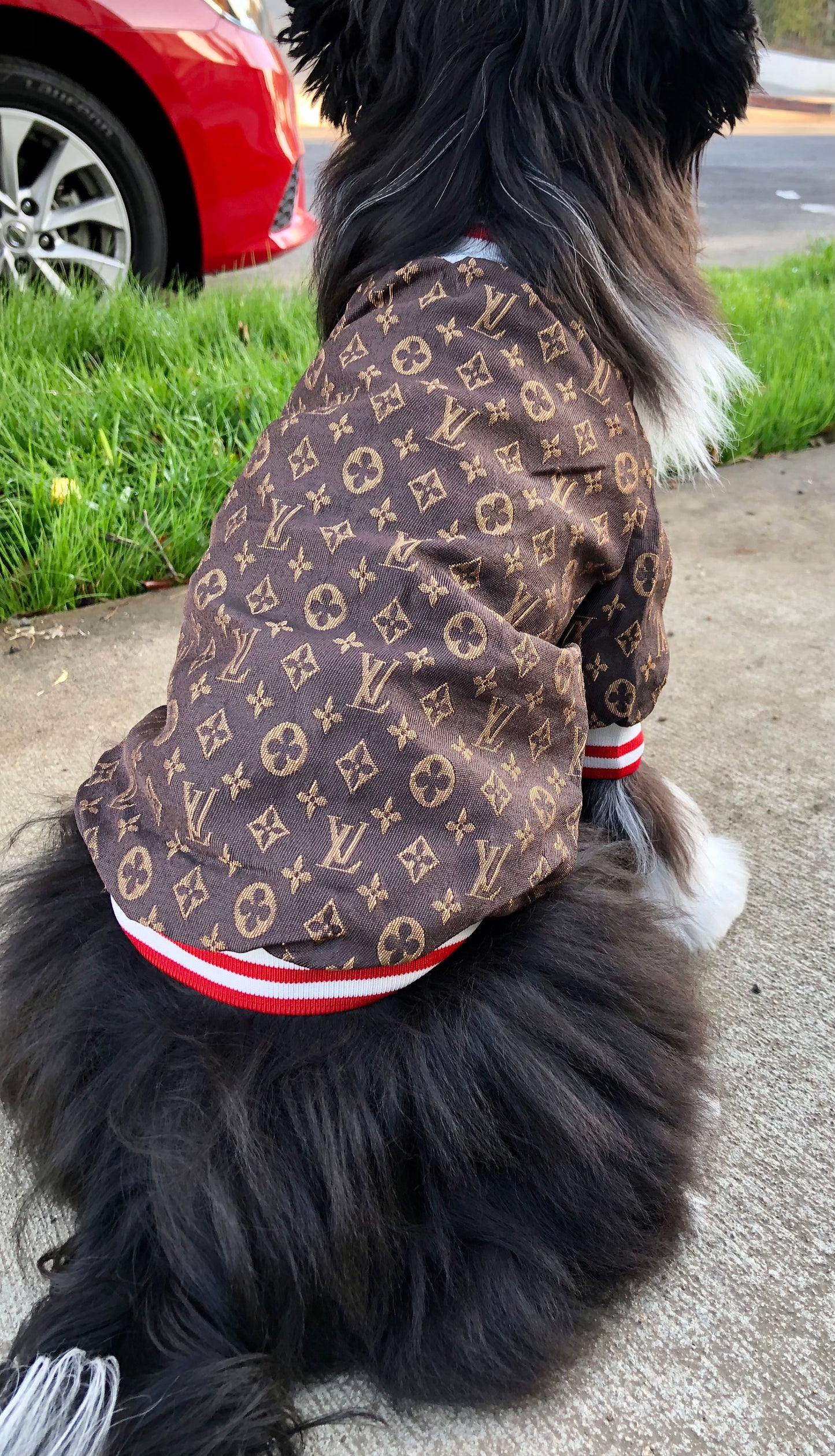 Elle Vee Sporty Zip Up