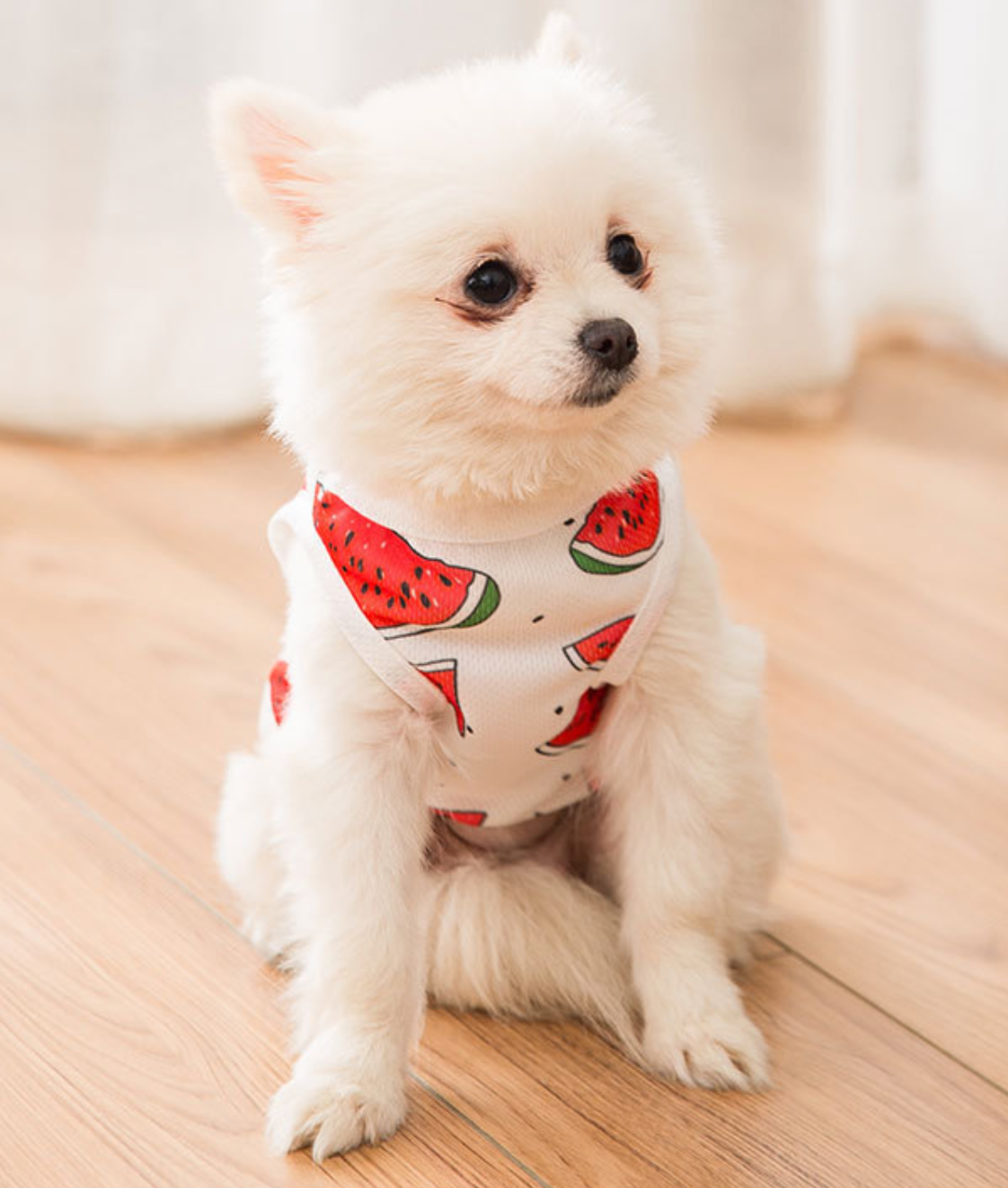 Hello Summer Watermelon Shirt