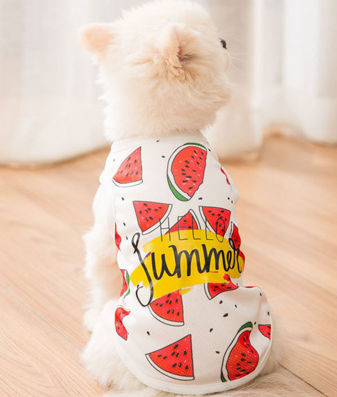 Hello Summer Watermelon Shirt