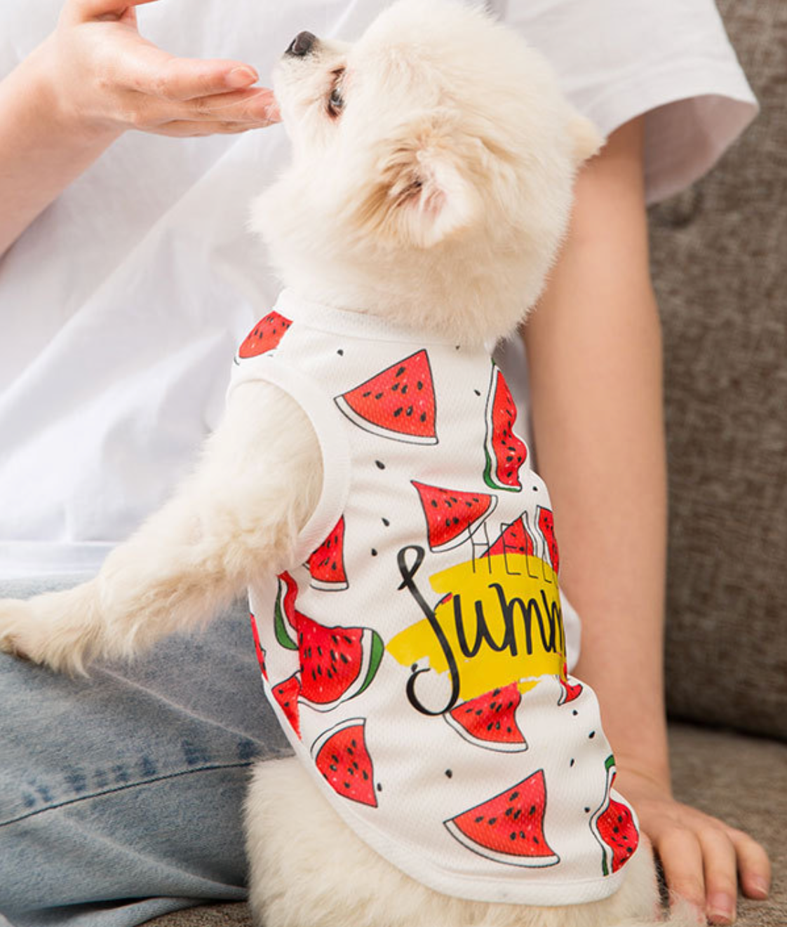 Hello Summer Watermelon Shirt