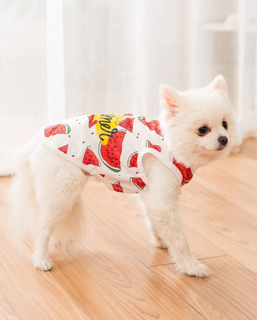 Hello Summer Watermelon Shirt