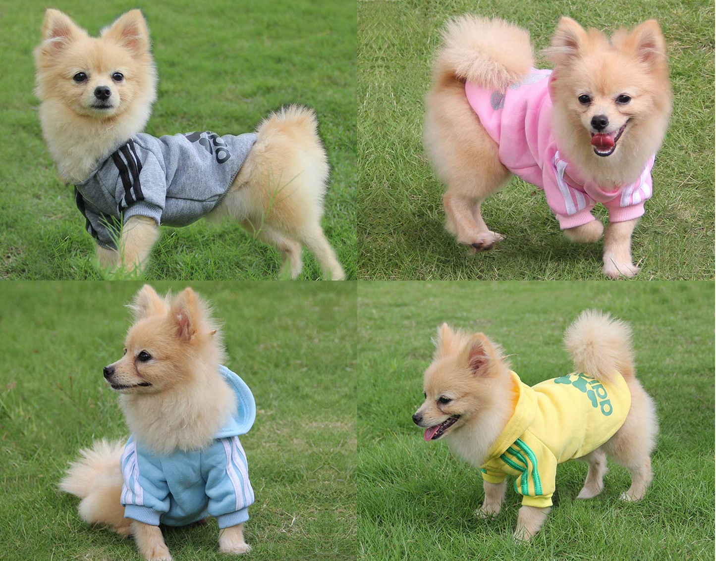 Adidog Hooded Sweatshirt