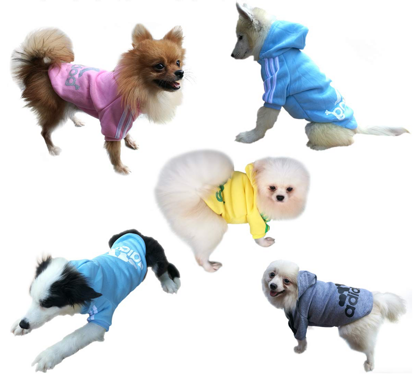 Adidog Hooded Sweatshirt