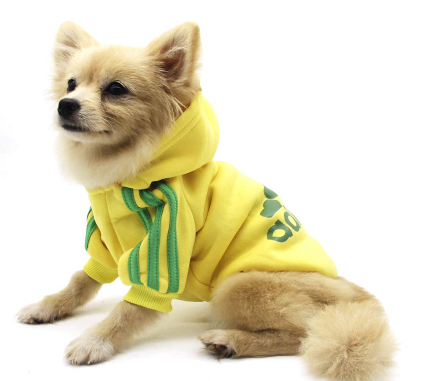 Adidog Hooded Sweatshirt