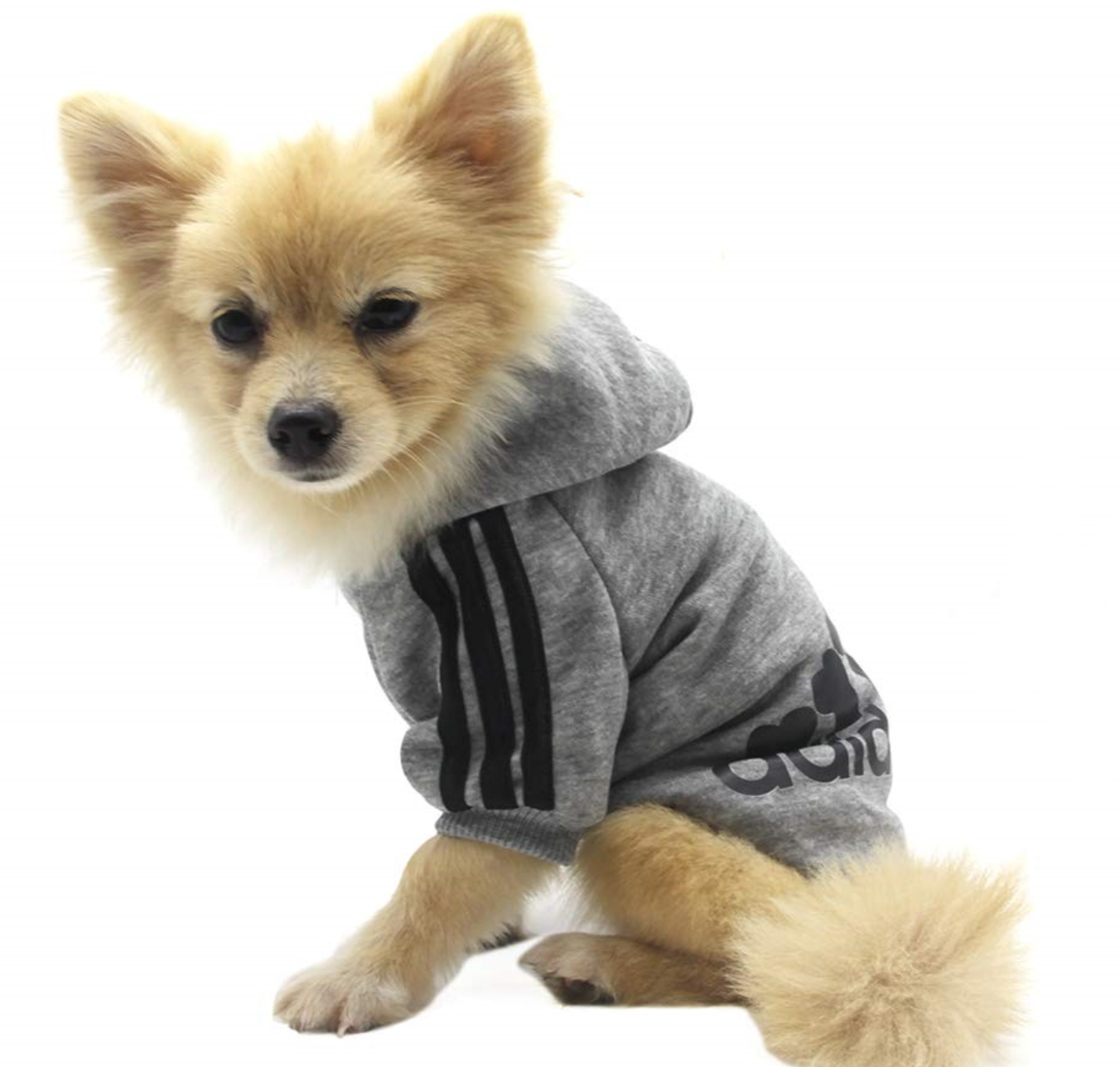 Adidog Hooded Sweatshirt