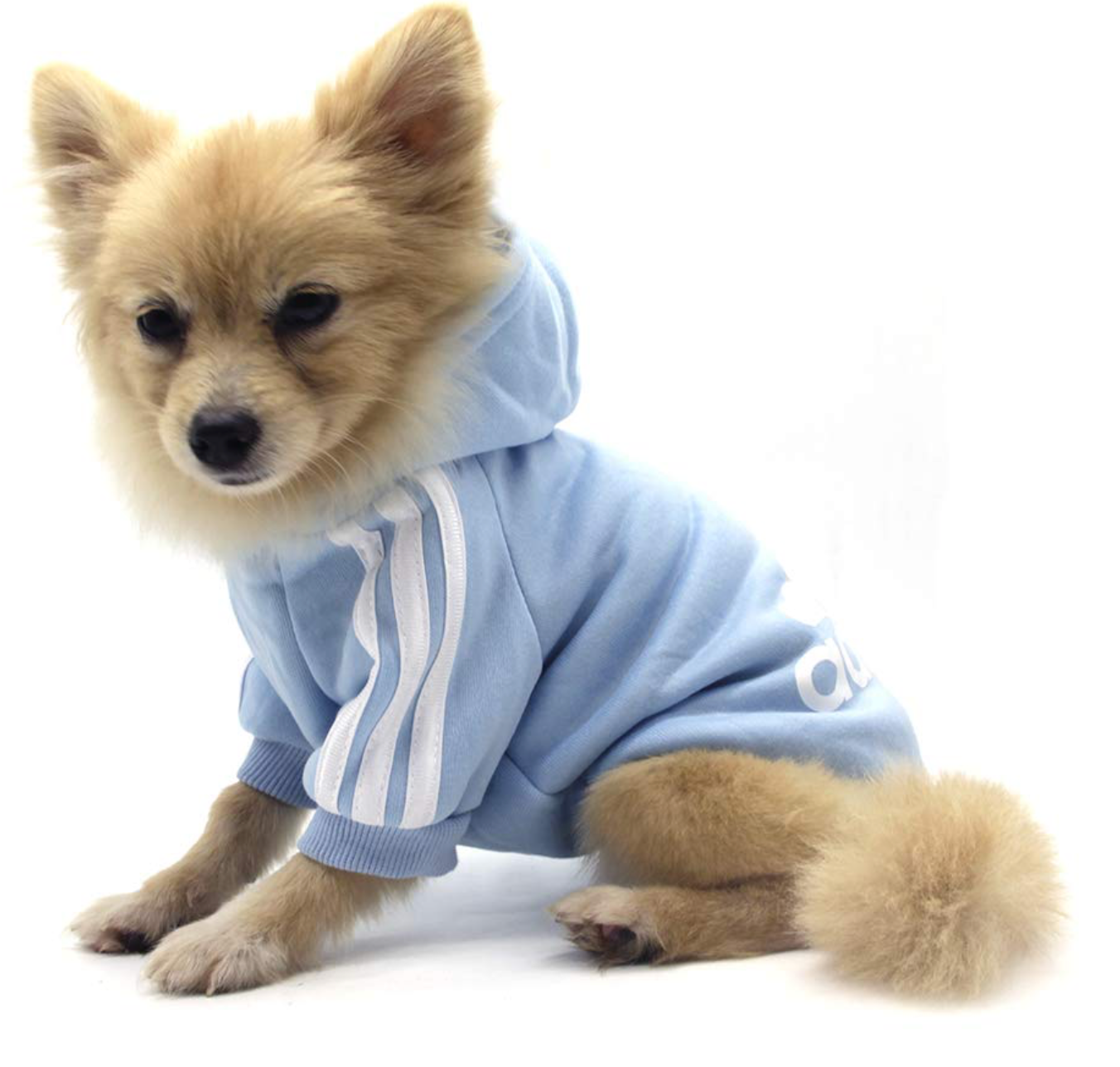 Adidog Hooded Sweatshirt