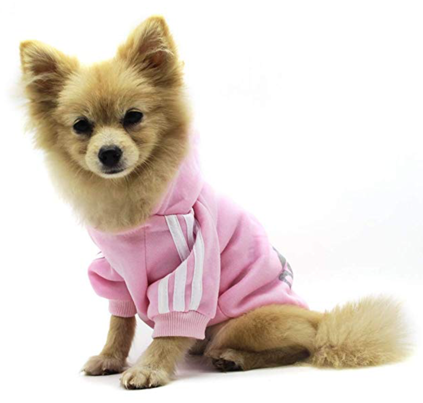 Adidog Hooded Sweatshirt