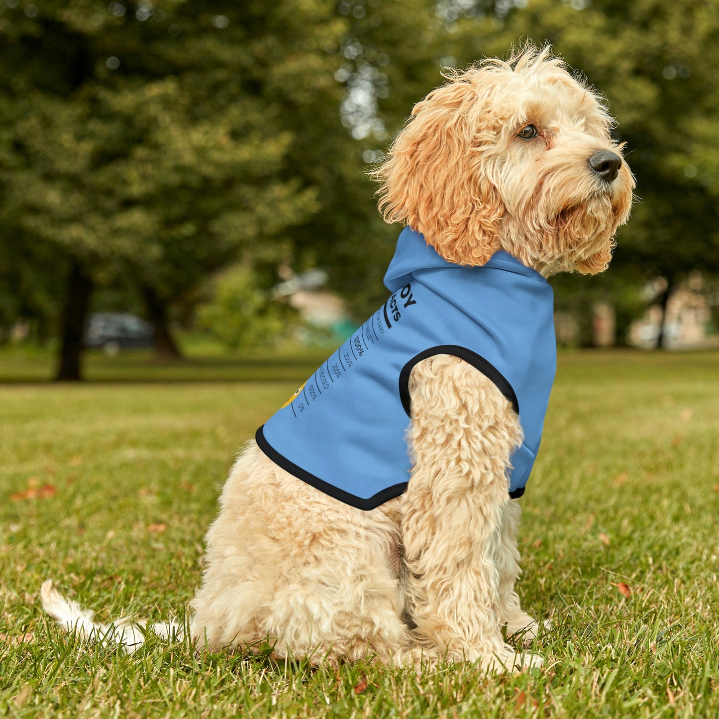 Good Boy Dog Hoodie