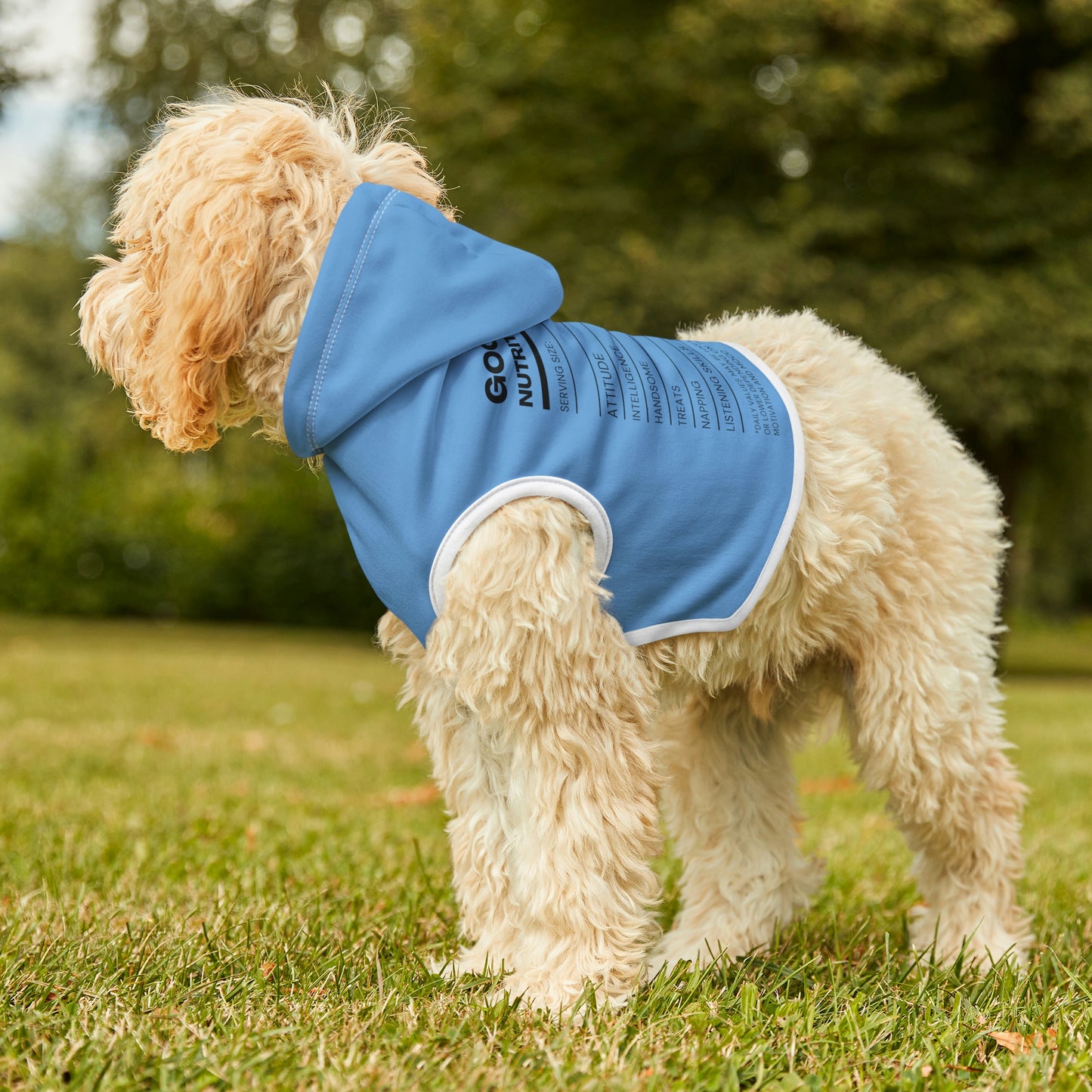 Good Boy Dog Hoodie