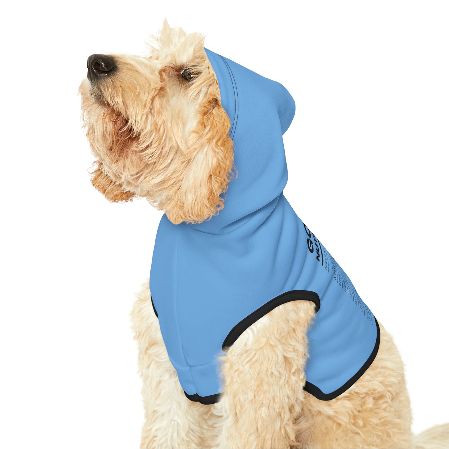 Good Boy Dog Hoodie