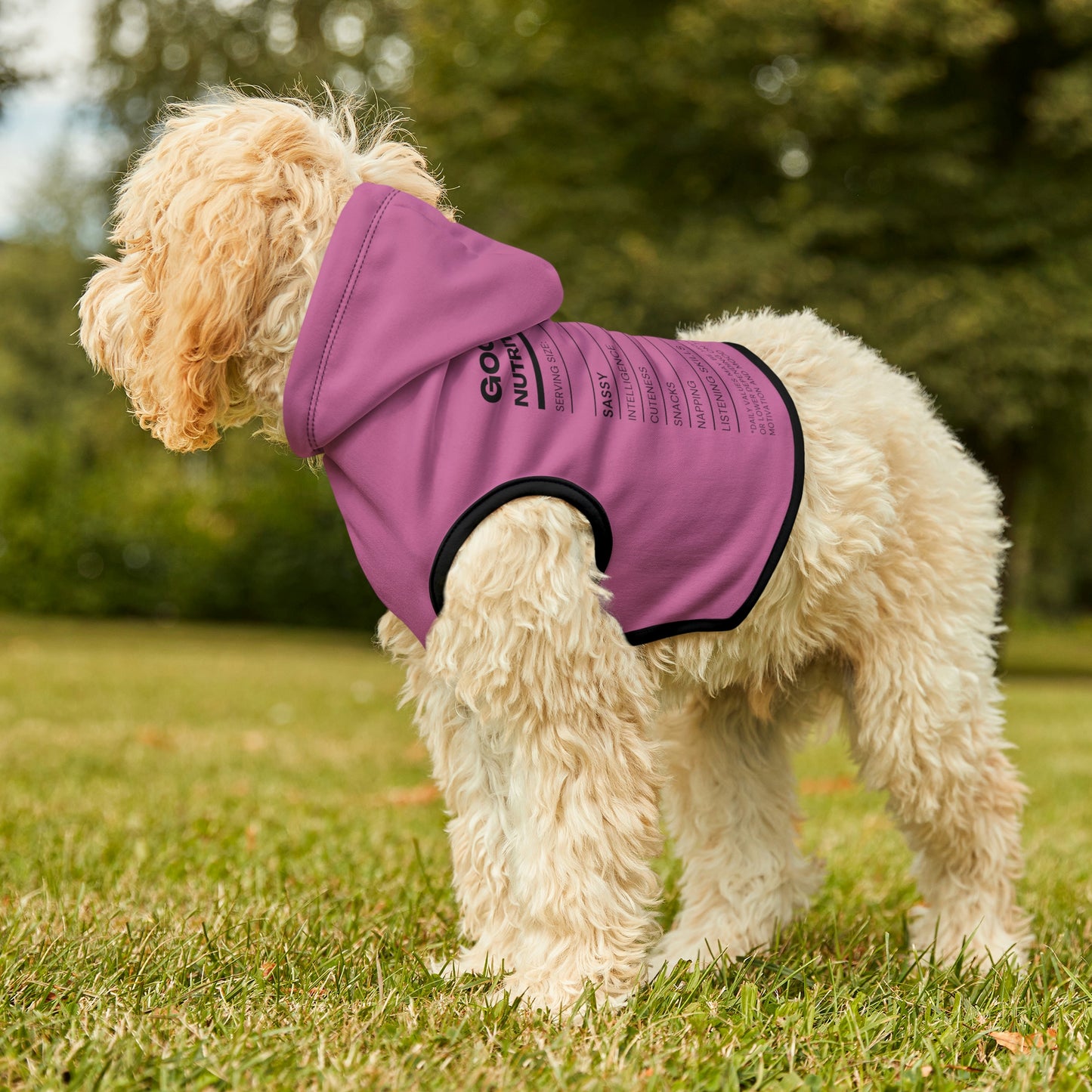 Good Girl Dog Hoodie