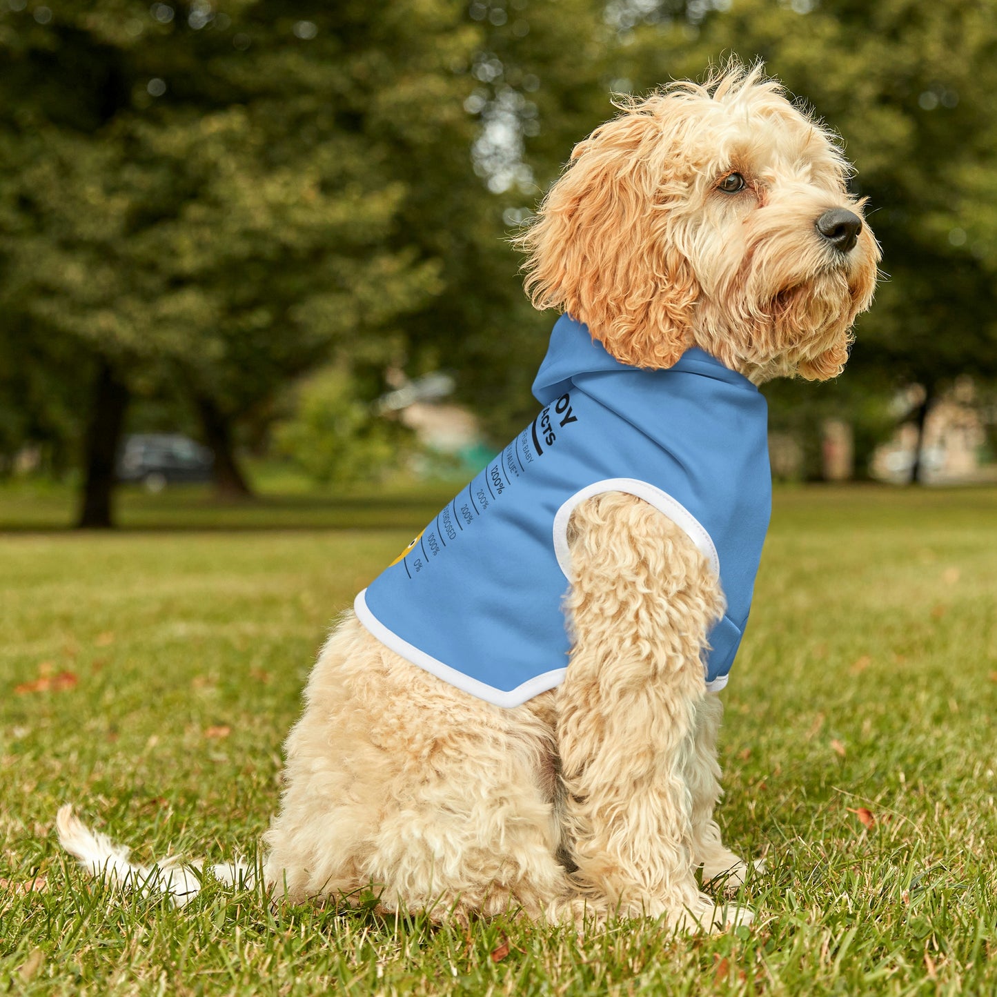 Good Boy Dog Hoodie